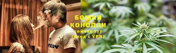 крисы Бородино