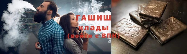 крисы Бородино