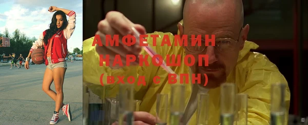 крисы Бородино