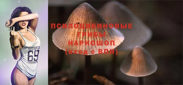 крисы Бородино