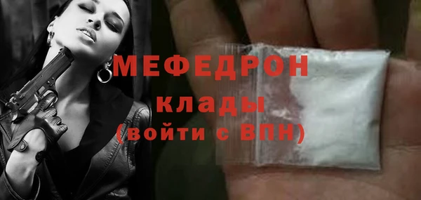 крисы Бородино