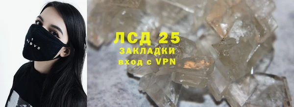 крисы Бородино