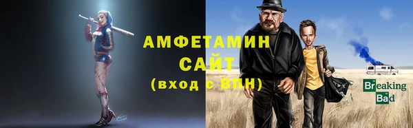 крисы Бородино