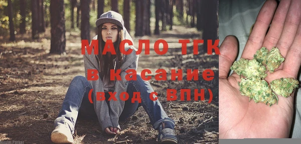 крисы Бородино