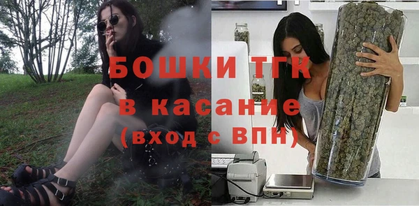 крисы Бородино