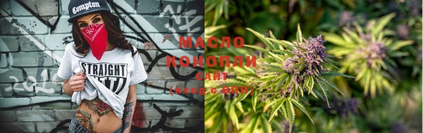 крисы Бородино