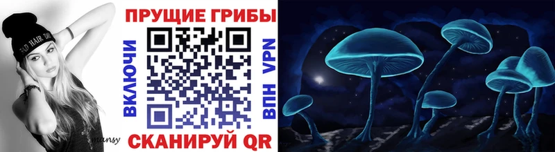 mega ТОР  Медынь  Галлюциногенные грибы прущие грибы 